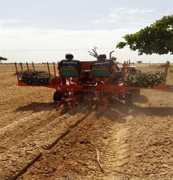 中热农业机械 木薯种植机视频 种植机