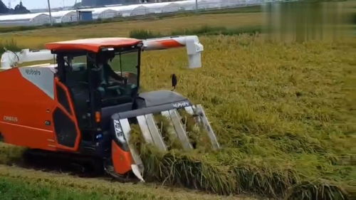 日本农业机械小型化,一个人种几百亩水稻很轻松,我们为啥不仿制